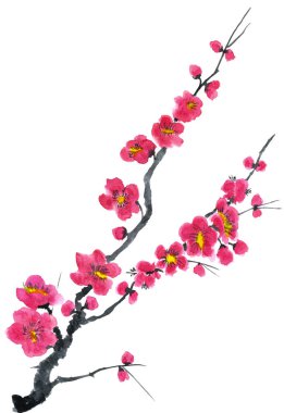 Şu yeni gelişen bir ağaç dalı. Pembe ve kırmızı erik çiçekleri stilize mei, yabani kayısı ve sakura. Suluboya ve mürekkep çizim stili sumi-e, u-sin. Oryantal geleneksel resim.  