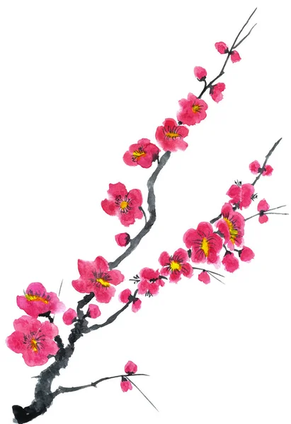 Branch Blossoming Tree Pink Red Stylized Flowers Plum Mei Wild — Stock Photo, Image