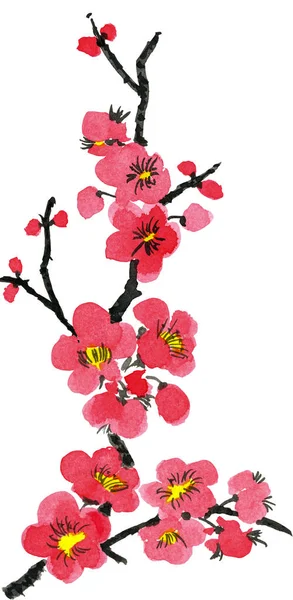 Gałąź Kwitnąca Drzewo Czerwony Różowy Stylizowane Kwiaty Śliwy Mei Dzikie — Zdjęcie stockowe