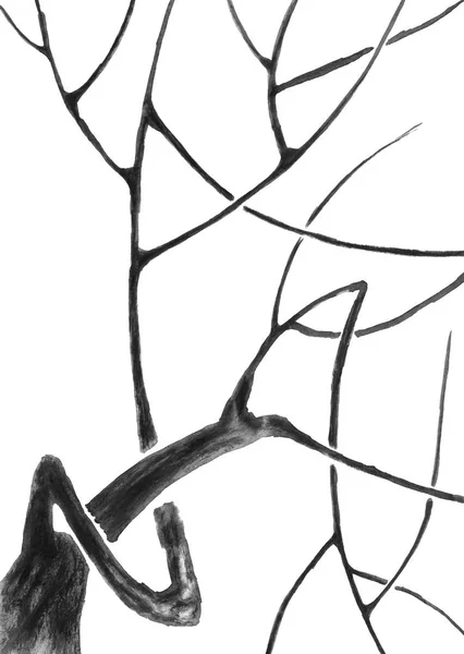 Ветвь Мертвой Сакуры Цветов Листьев — стоковое фото