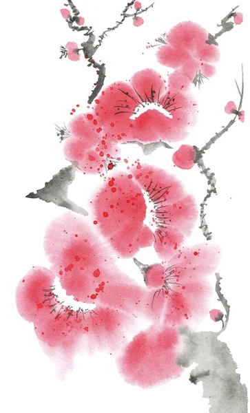 Een Tak Van Een Bloeiende Boom Roze Rode Bloemen Voor — Stockfoto