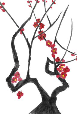 Çiçek açması sakura dalı. Pembe ve kırmızı erik çiçekleri stilize mei, yabani kayısı ve kiraz. Ağaç stil sumi-e, sulu boya ve mürekkep çizimi u-sin. Oryantal geleneksel resim. İzole