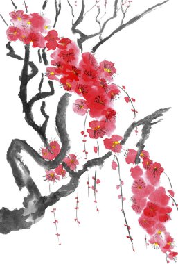 Çiçek açması sakura dalı. Pembe ve kırmızı erik çiçekleri stilize mei, yabani kayısı ve kiraz. Ağaç stil sumi-e, sulu boya ve mürekkep çizimi u-sin. Oryantal geleneksel resim. İzole