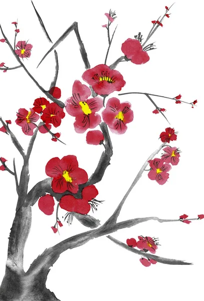 桜の花の枝 梅メイ 野生のアプリコットとチェリーのピンクと赤の様式化された花 水彩画と木のイラストをスタイルSumi Sin 東洋の伝統絵画 — ストック写真