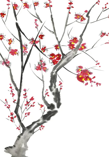 桜の花の枝 梅メイ 野生のアプリコットとチェリーのピンクと赤の様式化された花 水彩画と木のイラストをスタイルSumi Sin 東洋の伝統絵画 — ストック写真