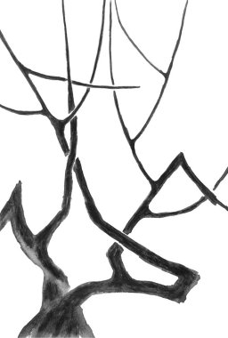 Çiçek ve yaprakları olmadan ölü sakura bir dalı