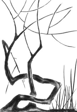 Çiçek ve yaprakları olmadan ölü sakura bir dalı