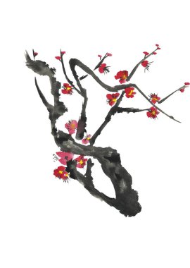 Çiçek açan bir sakuranın dalı. Erik mei, yabani kayısı ve kiraz pembe ve kırmızı stilize çiçekler . Suluboya ve ağaç mürekkep illüstrasyon tarzı sumi-e, u-sin. Oryantal geleneksel resim. 