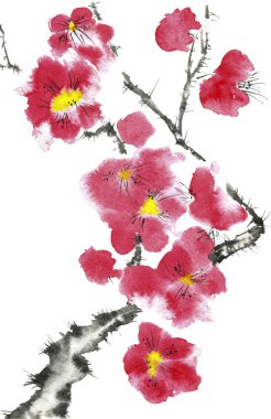 Çiçek açan bir sakuranın dalı. Erik mei, yabani kayısı ve kiraz pembe ve kırmızı stilize çiçekler . Suluboya ve ağaç mürekkep illüstrasyon tarzı sumi-e, u-sin. Oryantal geleneksel resim. 