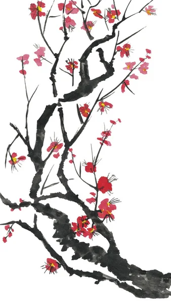 Oddział Kwitnących Sakura Różowe Czerwone Stylizowane Kwiaty Śliwki Mei Dzikie — Zdjęcie stockowe