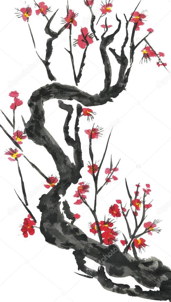 A branch of a blossoming sakura. Pink and red stylized flowers of plum mei, wild apricots and cherry . Watercolor and ink illustration of tree in style sumi-e, u-sin. Oriental traditional painting. 