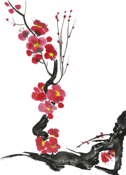 Ветвь Цветущей Сакуры Розовые Красные Стилизованные Цветы Сливы Вишни Акварель — стоковое фото