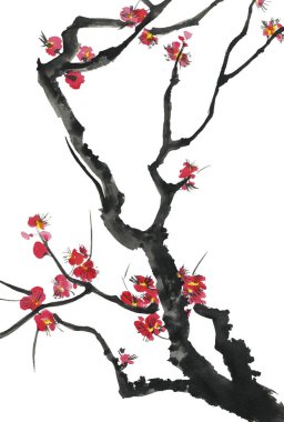 Çiçek açması sakura dalı. Pembe ve kırmızı erik çiçekleri stilize mei ve yabani kiraz. Suluboya ve mürekkep stili sumi-e, go-hua, u-sin ağacında Illustration. Oryantal geleneksel resim.