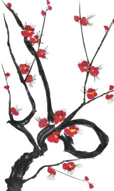 Çiçek açması sakura dalı. Pembe ve kırmızı erik çiçekleri stilize mei ve yabani kiraz. Suluboya ve mürekkep stili sumi-e, go-hua, u-sin ağacında Illustration. Oryantal geleneksel resim.