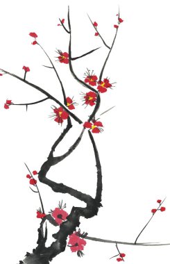 Çiçek açması sakura dalı. Pembe ve kırmızı erik çiçekleri stilize mei ve yabani kiraz. Suluboya ve mürekkep stili sumi-e, go-hua, u-sin ağacında Illustration. Oryantal geleneksel resim.