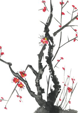 Çiçek açması sakura dalı. Pembe ve kırmızı erik çiçekleri stilize mei ve yabani kiraz. Suluboya ve mürekkep stili sumi-e, go-hua, u-sin ağacında Illustration. Oryantal geleneksel resim.