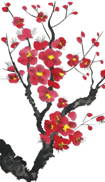 満開の桜の枝 ピンクと赤が梅の花を様式化された美とワイルド チェリー スタイル 行く華 罪木の水彩 インクのイラスト 東洋の伝統的な絵画 — ストック写真