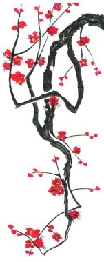 Çiçek açması sakura dalı. Pembe ve kırmızı erik çiçekleri stilize mei ve yabani kiraz. Suluboya ve mürekkep stili sumi-e, go-hua, u-sin ağacında Illustration. Oryantal geleneksel resim.