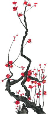 Çiçek açması sakura dalı. Pembe ve kırmızı erik çiçekleri stilize mei ve yabani kiraz. Suluboya ve mürekkep stili sumi-e, go-hua, u-sin ağacında Illustration. Oryantal geleneksel resim.
