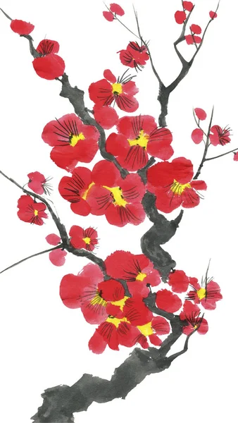 樱花的枝条 粉红和红色的梅花和野生樱桃的花色 水彩和水墨插图的树的风格相思 东方传统绘画 — 图库照片