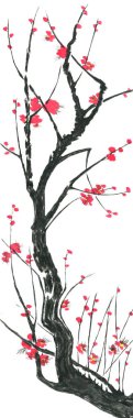 Çiçek açması sakura dalı. Pembe ve kırmızı erik çiçekleri stilize mei ve yabani kiraz. Suluboya ve mürekkep stili sumi-e, go-hua, u-sin ağacında Illustration. Oryantal geleneksel resim.