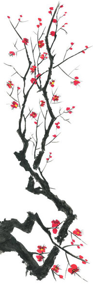 Ветвь цветущей сакуры. Розовые и красные стилизованные цветы сливы и вишни. Акварель и чернила иллюстрация дерева в стиле суми-э, го-хуа, у-син. Восточная традиционная живопись
.