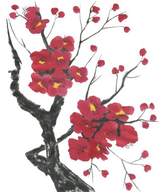 Çiçek açması sakura dalı. Pembe ve kırmızı erik çiçekleri stilize mei ve yabani kiraz. Suluboya ve mürekkep stili sumi-e, go-hua, u-sin ağacında Illustration. Oryantal geleneksel resim.