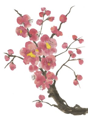 Çiçek açması sakura dalı. Pembe ve kırmızı erik çiçekleri stilize mei ve yabani kiraz. Suluboya ve mürekkep stili sumi-e, go-hua, u-sin ağacında Illustration. Oryantal geleneksel resim.