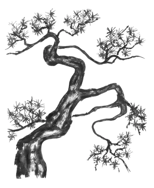 Китайская Сосна Японская Акварель Индийская Чернильная Иллюстрация Дерева Стиле Суми — стоковое фото