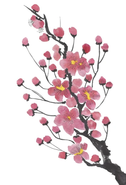 Pobočka Kvetoucí Sakura Růžové Červené Stylizované Květy Švestky Mei Višeň — Stock fotografie