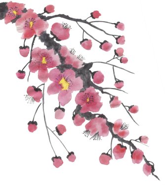 Çiçek açması sakura dalı. Pembe ve kırmızı erik çiçekleri stilize mei ve yabani kiraz. Suluboya ve mürekkep stili sumi-e, go-hua, u-sin ağacında Illustration. Oryantal geleneksel resim.