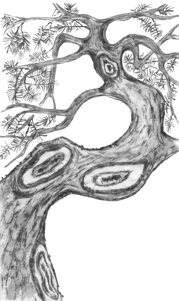 Kiefer Japanisches Aquarell Tintenillustration Von Baum Stil Sumi Hua Sin — Stockfoto