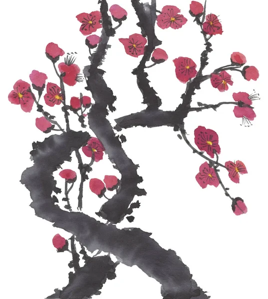 Una Rama Sakura Floreciente Flores Estilizadas Rosas Rojas Ciruela Mei — Foto de Stock