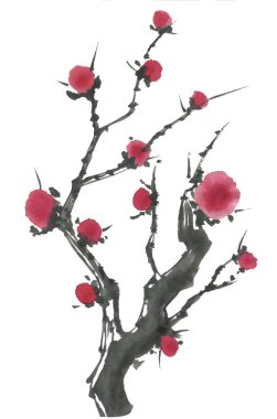 Çiçek açması sakura dalı. Pembe ve kırmızı erik çiçekleri stilize mei ve yabani kiraz. Suluboya ve mürekkep stili sumi-e, go-hua, u-sin ağacında Illustration. Oryantal geleneksel resim.