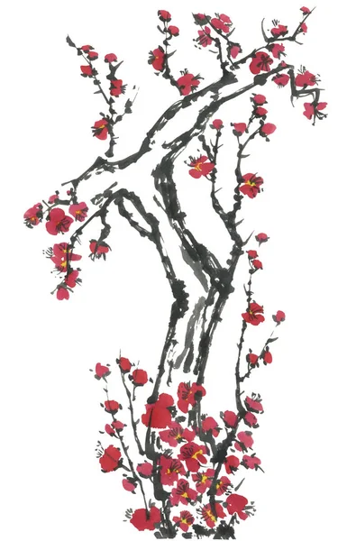 Een Tak Van Een Bloeiende Sakura Roze Rode Bloemen Voor — Stockfoto