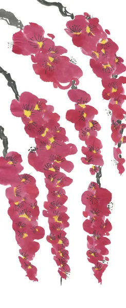 만발한 벚꽃의 분기입니다 핑크와 레드의 스타일 수채화 전통적인 — 스톡 사진
