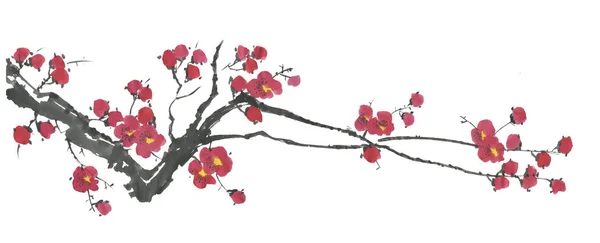 Ramo Sakura Fiorente Fiori Rosa Rossi Stilizzati Prugna Mei Ciliegia — Foto Stock