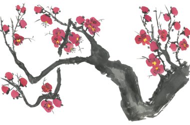 Çiçek açması sakura dalı. Pembe ve kırmızı erik çiçekleri stilize mei ve yabani kiraz. Suluboya ve mürekkep stili sumi-e, go-hua, u-sin ağacında Illustration. Oryantal geleneksel resim.
