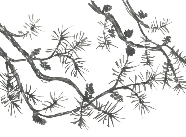 中国松 日本の水彩画 墨スタイル 行く華 罪の入れ墨のための木のイラストです 東洋の伝統的な絵画 白い背景に分離 — ストック写真