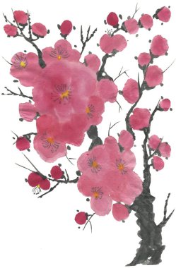 Çiçek açması sakura dalı. Pembe ve kırmızı erik çiçekleri stilize mei ve yabani kiraz. Suluboya ve mürekkep stili sumi-e, go-hua, u-sin ağacında Illustration. Oryantal geleneksel resim.