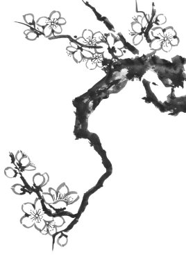 Çiçek açması sakura dalı. Pembe ve kırmızı erik çiçekleri stilize mei ve yabani kiraz. Suluboya ve mürekkep stili sumi-e, go-hua, u-sin ağacında Illustration. Oryantal geleneksel resim.