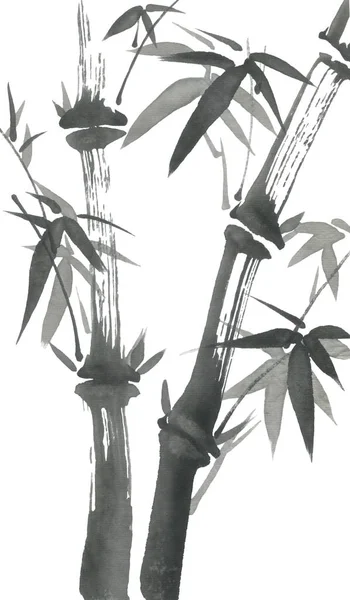 Bamboo Branches Leaves Nature Japan Watercolor Ink Illustration Style Sumi — Stock Photo, Image