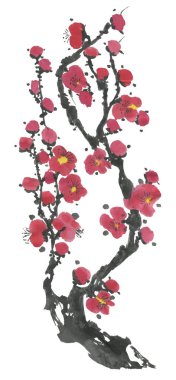Çiçek açması sakura dalı. Pembe ve kırmızı erik çiçekleri stilize mei ve yabani kiraz. Suluboya ve mürekkep stili sumi-e, go-hua, u-sin ağacında Illustration. Oryantal geleneksel resim.