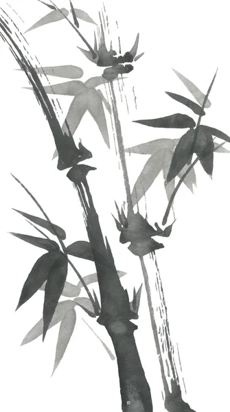 Бамбукові Гілки Листям Природа Японія Акварельна Чорнильна Ілюстрація Стилі Сумі — стокове фото