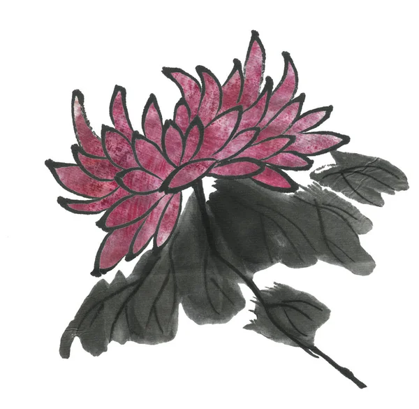 Crisantemo Come Simbolo Del Giappone Della Cina Acquerello Dipinto Mano — Foto Stock