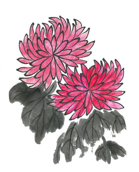 菊花是日本和中国的象征 水彩手绘花在白色背景 传统东方水墨画苏美 Sin — 图库照片