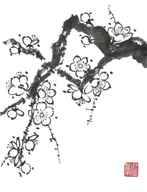 Çiçek açan bir sakuranın dalı. Erik mei ve yabani kiraz kontur çiçekleri . Tarzı sumi-e, go-hua, u-sin ağacın Oryantal geleneksel illüstrasyon. Hiyeroglifler ile stilize baskı