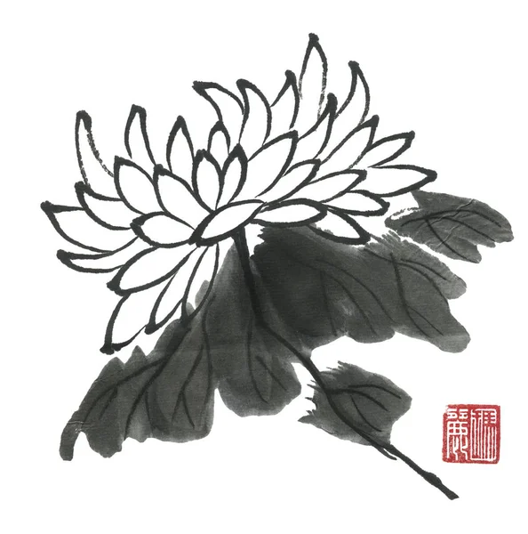 Chrysanthème Comme Symbole Japon Chine Fleurs Feuilles Contour Peinture Encre — Photo