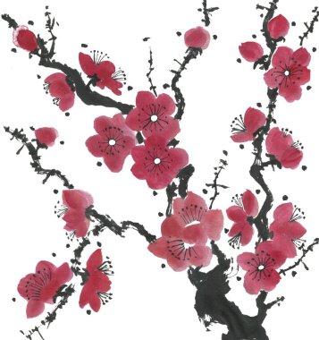 Çiçek açması sakura dalı. Pembe ve kırmızı erik çiçekleri stilize mei ve yabani kiraz. Suluboya ve mürekkep stili sumi-e, go-hua, u-sin ağacında Illustration. Oryantal geleneksel resim.