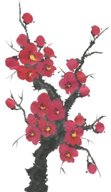 Çiçek açması sakura dalı. Pembe ve kırmızı erik çiçekleri stilize mei ve yabani kiraz. Suluboya ve mürekkep stili sumi-e, go-hua, u-sin ağacında Illustration. Oryantal geleneksel resim.